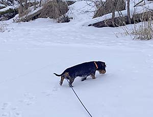 Norrviken runt
