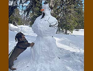Sista snögubben