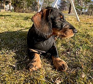 Hälsning från Sverker