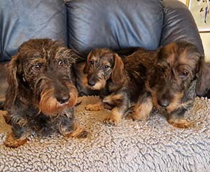 Tre generationer