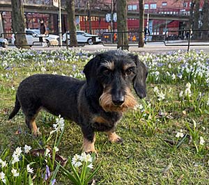 Hälsning från Gita