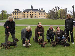 Hektiskt på Ulriksdal