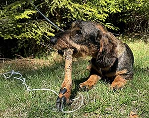 I spåret igen