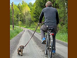Ute på cykeltur