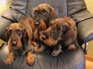 Tre generationer