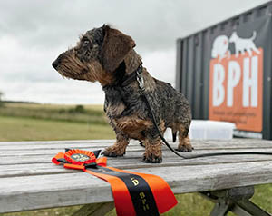 Rufus fixade BPH