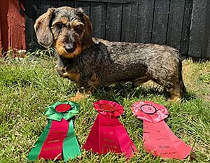 Rufus champion
