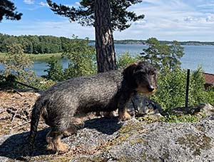 Isak på spaningsplatsen