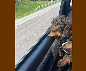 Fin utsikt på färden