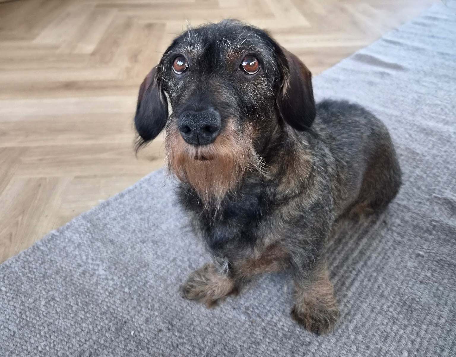 Hälsning från Isolde