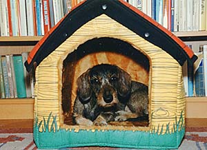 Den kära hundkojan