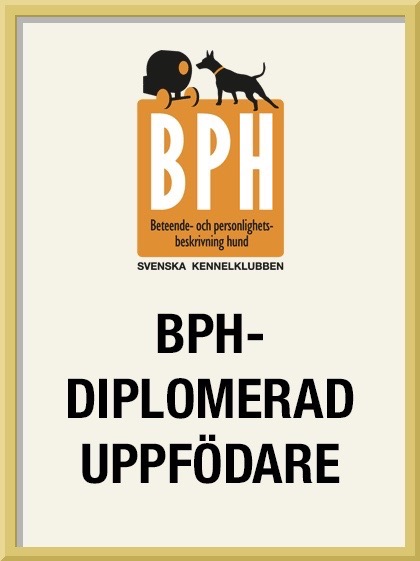 Utmärkelser